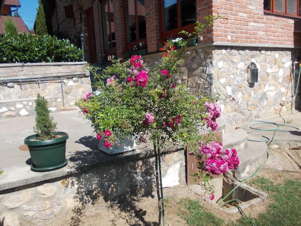 Kuca Za Odmor "Karalic" Bed & Breakfast Lezimir Exterior photo